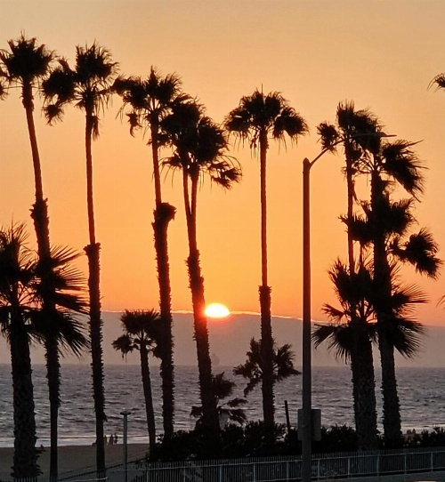 Huntington Surf Inn image 43