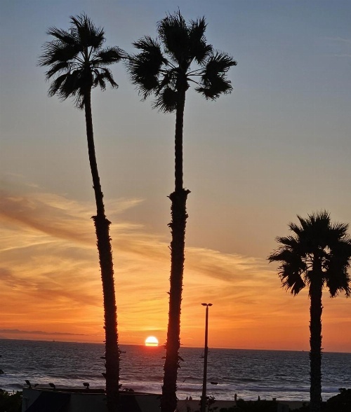 Huntington Surf Inn image 44